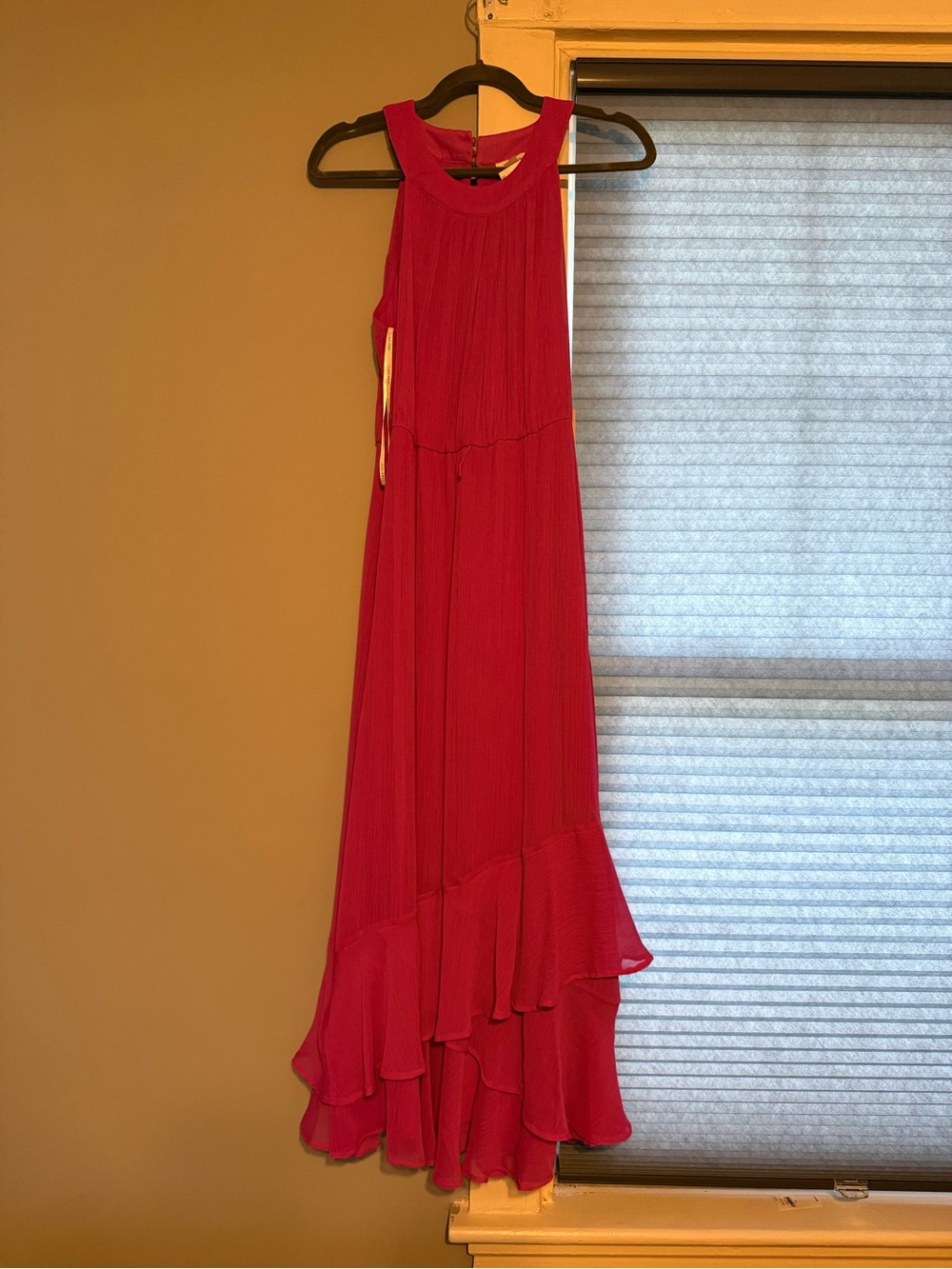Calvin Klein Red Sleeveless Ruffled Hem Maxi Dress